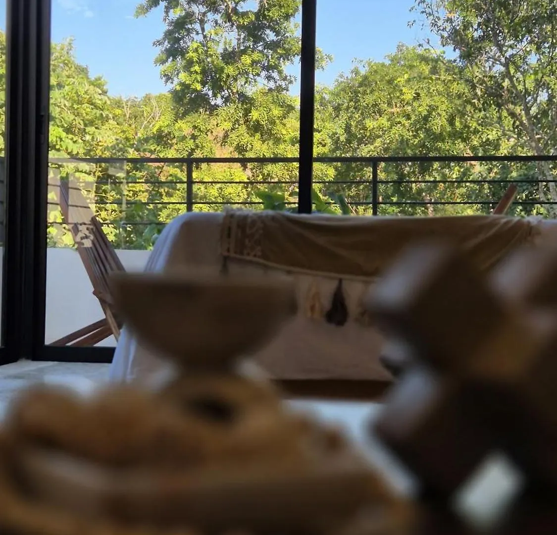 New Luxury Studio With Plunge Pool Tulum 0*,